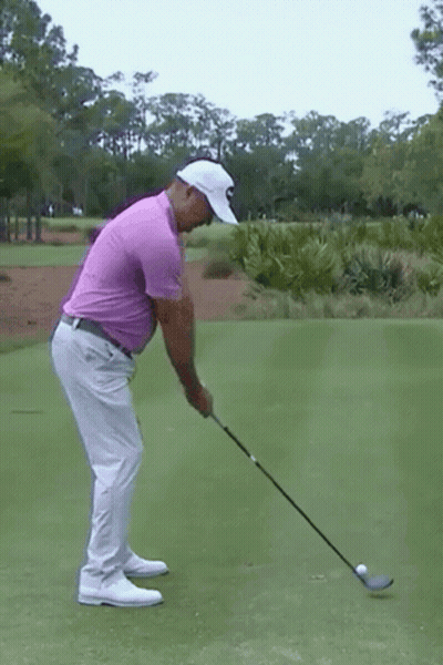 Man In Purple Shirt Swinging Golf GIF