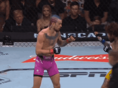 Man In Purple Shorts In Boxing Ring With Budweiser Ad GIF