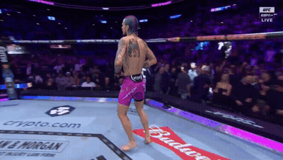 Man In Purple Shorts In Boxing Ring With Budweiser Banner GIF