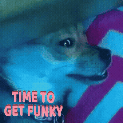 Man In Purple Suit Dancing GIF