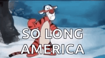 Man In Pyeongchang 2018 Shirt Holding American Flag GIF
