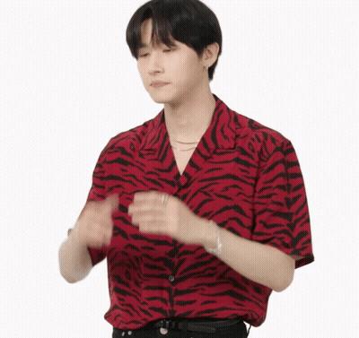 Man In Red And Black Tiger Print Shirt GIF