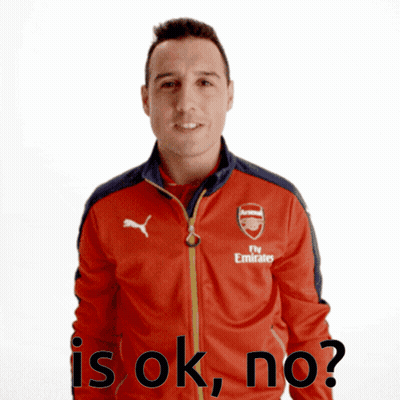 Man In Red Fly Emirates Jacket GIF
