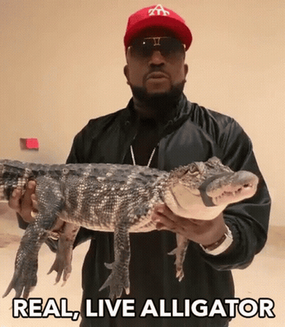 Man In Red Hat Holding Alligator Saying Real Live Alligator GIF