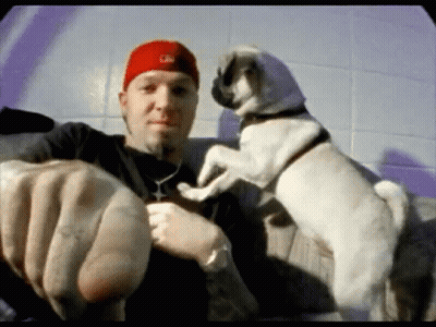 Man In Red Hat Holding Small Dog GIF