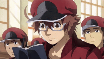 Man In Red Hat Reads Book To Red Hat Men GIF