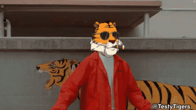 Man In Red Jacket With Tiger Head GIF