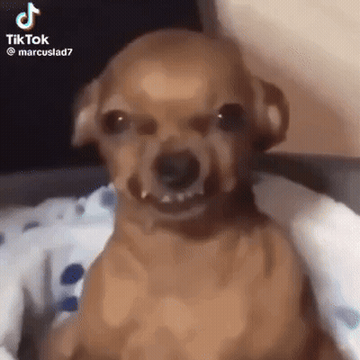 Man In Red Robe Flexing Muscles GIF