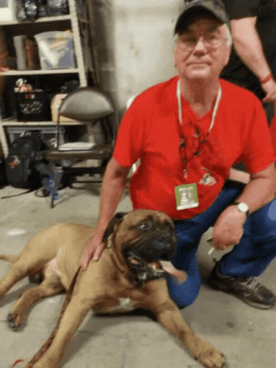 Man In Red Shirt Kneeling Next To Dog GIF