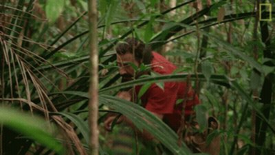 Man In Red Shirt Standing In Jungle GIF