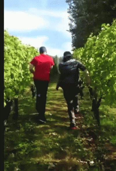 Man In Red Shirt Walking Down Path GIF