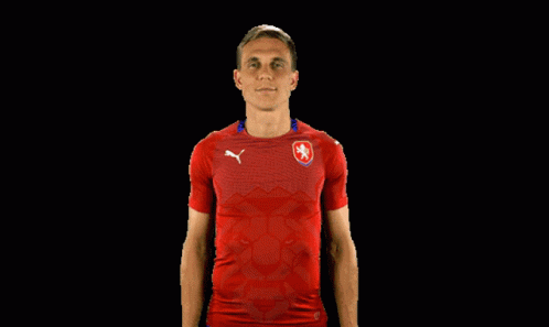 Man In Red Shirt With Lion Giving Thumbs Up GIF