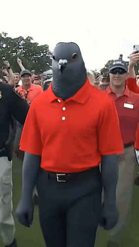 Man In Red Shirt With Pigeon On Head GIF