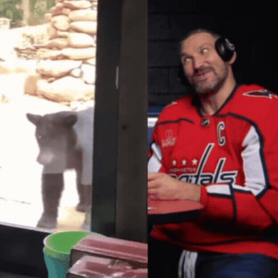 Man In Red Washington Capitals Jersey GIF