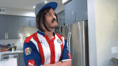 Man In Red White Striped Shirt Mustache Wig GIF