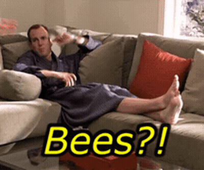 Man in Robe Laying on Couch Saying Bees