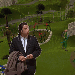 Man In Runescape Frame GIF