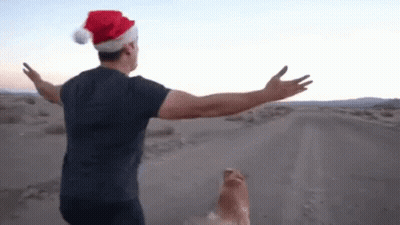 Man In Santa Hat Walking Dog GIF