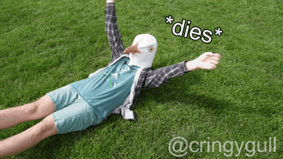 Man in Seagull Mask Lying in Grass Dies