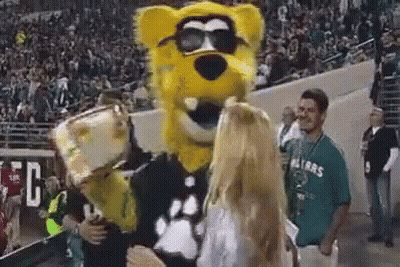 Man In Seahawks Shirt Next To Mascot GIF