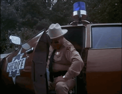 Man In Sheriff Uniform Next To Car GIF