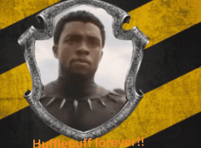Man In Shield Hufflepuff Forever GIF