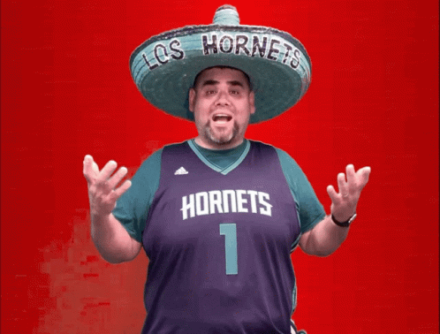 Man In Sombrero And Hornets Jersey GIF