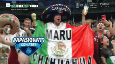 Man In Sombrero Holding Maru Flag GIF