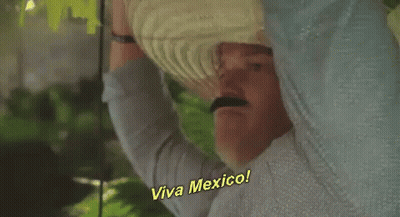 Man In Sombrero Saying Viva Mexico GIF