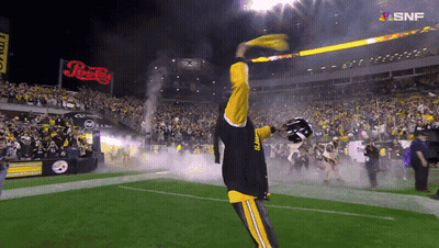 Man In Steelers Jersey Holding Yellow Flag GIF