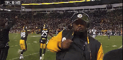 Man In Steelers Uniform On Football Field GIF