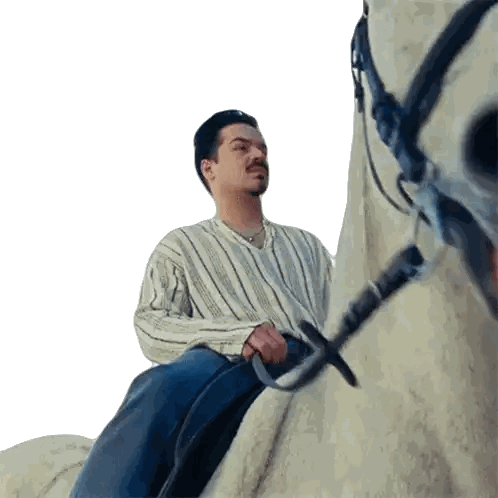 Man In Striped Shirt Riding Horse Sticker