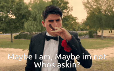 Man In Suit And Bow Tie Smoking Cigar GIF