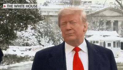 Man In Suit And Red Tie In Front Of White House GIF