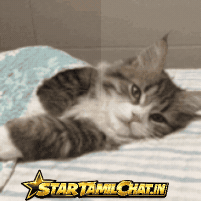 Man In Suit And Tie Arms Outstretched Coffee GIF