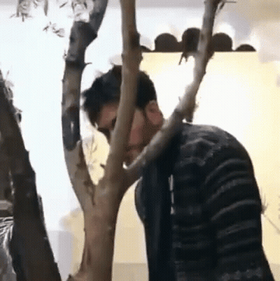 Man In Suit And Tie Giving Speech GIF