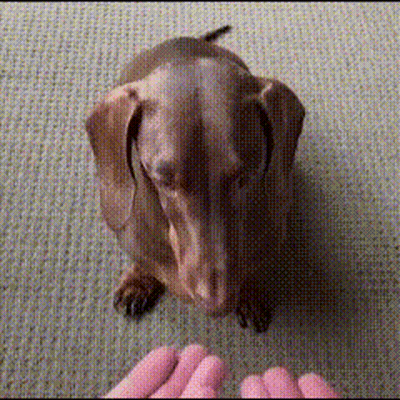 Man In Suit And Tie Hands Folded On Couch GIF