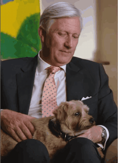 Man In Suit And Tie Holding Dog GIF
