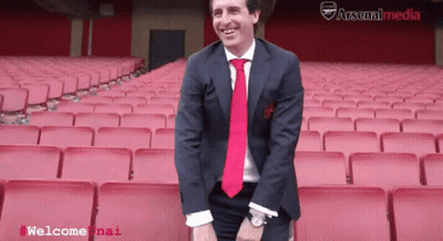 Man In Suit And Tie In Empty Stadium With Arsenal Media GIF
