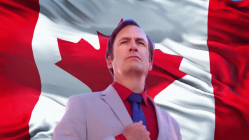 Man In Suit And Tie In Front Of Canadian Flag GIF