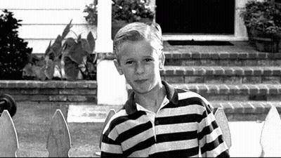 Man In Suit And Tie In Front Of George W. Bush Desk GIF