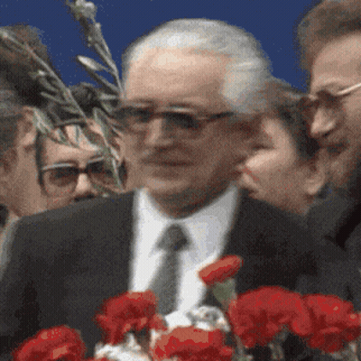 Man In Suit And Tie In Front Of Red Flowers GIF