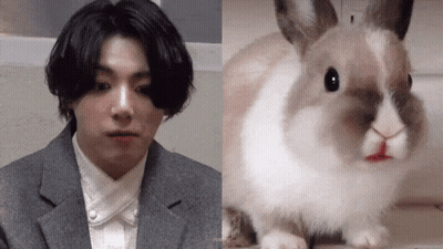 Man In Suit And Tie Next To Rabbit With Red Nose GIF