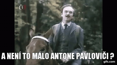 Man In Suit And Tie Riding Horse In Woods GIF