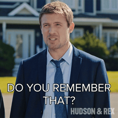 Man In Suit And Tie Saying Do You Remember That Hudson & Rex GIF