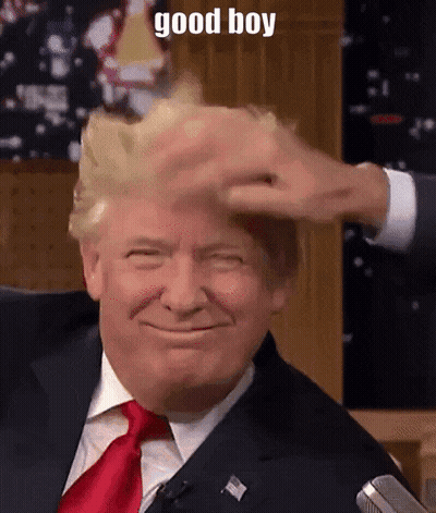 Man In Suit And Tie Smiling Hair Brushed GIF