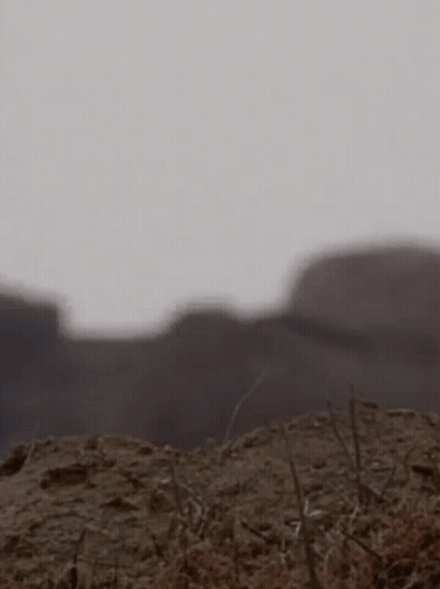 Man In Suit And Tie Standing In Dirt GIF