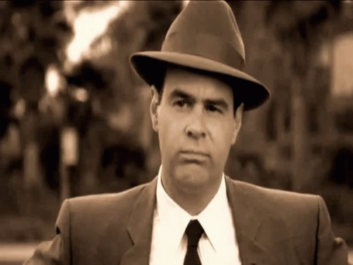 Man In Suit And Tie Wearing Fedora Hat GIF