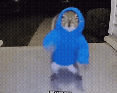 Man In Suit And Tie Wearing Hat And Glasses GIF