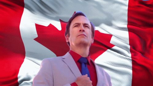 Man In Suit And Tie With Canadian Flag GIF